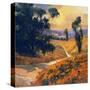 Stretched Canvas
