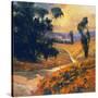 Stretched Canvas