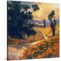 Stretched Canvas