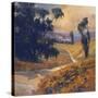 Stretched Canvas