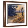 Brown Frame