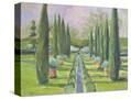 Stretched Canvas