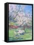 Framed Canvas