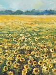 SUNFLOWERS-ALLAYN STEVENS-Art Print