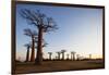 Allee de Baobab (Adansonia), at sunrise, western area, Madagascar, Africa-Christian Kober-Framed Photographic Print