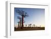 Allee de Baobab (Adansonia), at sunrise, western area, Madagascar, Africa-Christian Kober-Framed Photographic Print