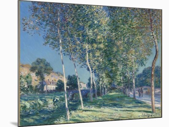 Allée de peupliers aux environs de Moret-sur-Loing-Alfred Sisley-Mounted Giclee Print
