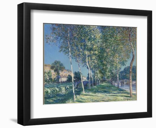 Allée de peupliers aux environs de Moret-sur-Loing-Alfred Sisley-Framed Giclee Print