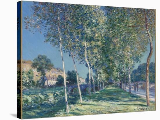 Allée de peupliers aux environs de Moret-sur-Loing-Alfred Sisley-Stretched Canvas