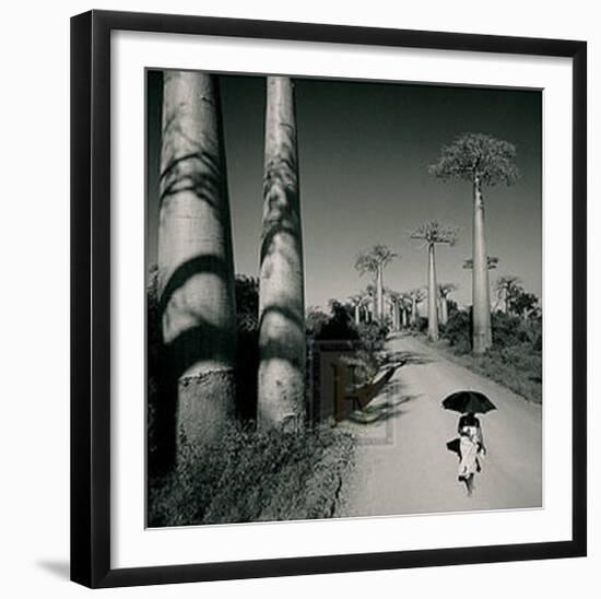 Allee des Baobabs II-Chris Simpson-Framed Art Print