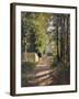 Allee sous-bois en Normandie, 1882-Gustave Caillebotte-Framed Giclee Print