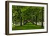 Allee Way-Steve Gadomski-Framed Photographic Print