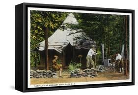 Allegany State Park, New York - Scenic View of a Family Camping in the Park-Lantern Press-Framed Stretched Canvas