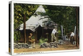 Allegany State Park, New York - Scenic View of a Family Camping in the Park-Lantern Press-Stretched Canvas