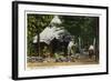 Allegany State Park, New York - Scenic View of a Family Camping in the Park-Lantern Press-Framed Art Print
