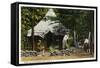 Allegany State Park, New York - Scenic View of a Family Camping in the Park-Lantern Press-Framed Stretched Canvas