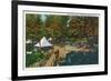 Allegany State Park, New York - View of the Girl Scouts' Camp-Lantern Press-Framed Art Print