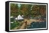 Allegany State Park, New York - View of the Girl Scouts' Camp-Lantern Press-Framed Stretched Canvas