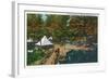 Allegany State Park, New York - View of the Girl Scouts' Camp-Lantern Press-Framed Art Print