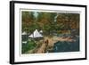 Allegany State Park, New York - View of the Girl Scouts' Camp-Lantern Press-Framed Art Print