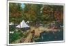 Allegany State Park, New York - View of the Girl Scouts' Camp-Lantern Press-Mounted Art Print