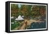 Allegany State Park, New York - View of the Girl Scouts' Camp-Lantern Press-Framed Stretched Canvas
