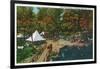 Allegany State Park, New York - View of the Girl Scouts' Camp-Lantern Press-Framed Art Print