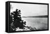 Alleged Image of Loch Ness Monster-null-Framed Stretched Canvas