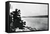 Alleged Image of Loch Ness Monster-null-Framed Stretched Canvas