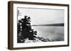 Alleged Image of Loch Ness Monster-null-Framed Photographic Print