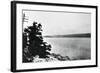 Alleged Image of Loch Ness Monster-null-Framed Photographic Print