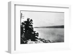 Alleged Image of Loch Ness Monster-null-Framed Photographic Print