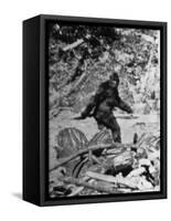 Alleged Photo of Bigfoot-Bettmann-Framed Stretched Canvas