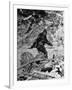 Alleged Photo of Bigfoot-Bettmann-Framed Photographic Print