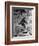 Alleged Photo of Bigfoot-Bettmann-Framed Photographic Print