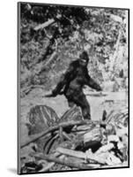 Alleged Photo of Bigfoot-Bettmann-Mounted Photographic Print