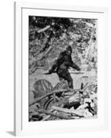 Alleged Photo of Bigfoot-Bettmann-Framed Photographic Print