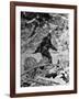 Alleged Photo of Bigfoot-Bettmann-Framed Photographic Print