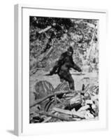 Alleged Photo of Bigfoot-Bettmann-Framed Photographic Print