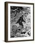 Alleged Photo of Bigfoot-Bettmann-Framed Photographic Print