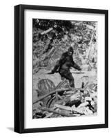 Alleged Photo of Bigfoot-Bettmann-Framed Photographic Print