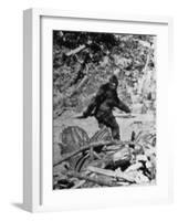 Alleged Photo of Bigfoot-Bettmann-Framed Photographic Print