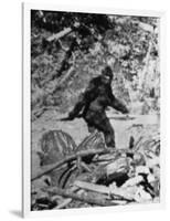 Alleged Photo of Bigfoot-Bettmann-Framed Photographic Print