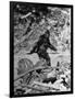 Alleged Photo of Bigfoot-Bettmann-Framed Photographic Print