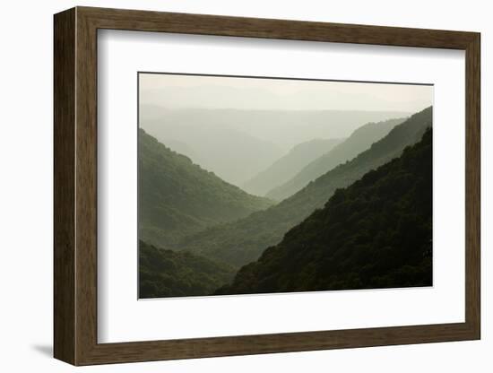 Allegheny Mountains in Babcock State Park-Paul Souders-Framed Photographic Print