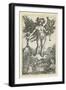 Allegorical Figure, C. 1515-1518-Albrecht Altdorfer-Framed Giclee Print