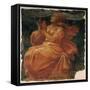 Allegorical Figure of a Virtue-Nicolò dell' Abate-Framed Stretched Canvas