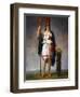 Allegorical Figure of the French Republic-Antoine-Jean Gros-Framed Giclee Print