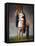 Allegorical Figure of the French Republic-Antoine-Jean Gros-Framed Stretched Canvas