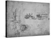 'Allegorical Representation', c1480 (1945)-Leonardo Da Vinci-Stretched Canvas
